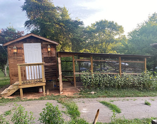 Chicken Coop | Candler