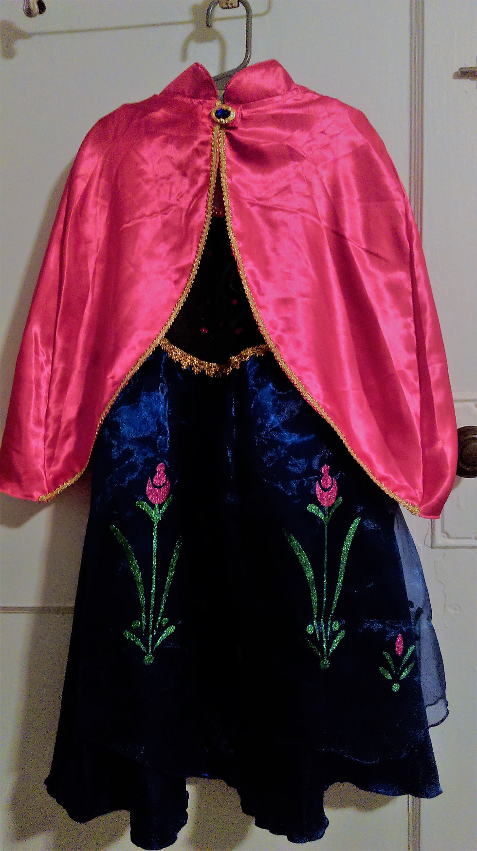 Princess Anna Dress as a whole