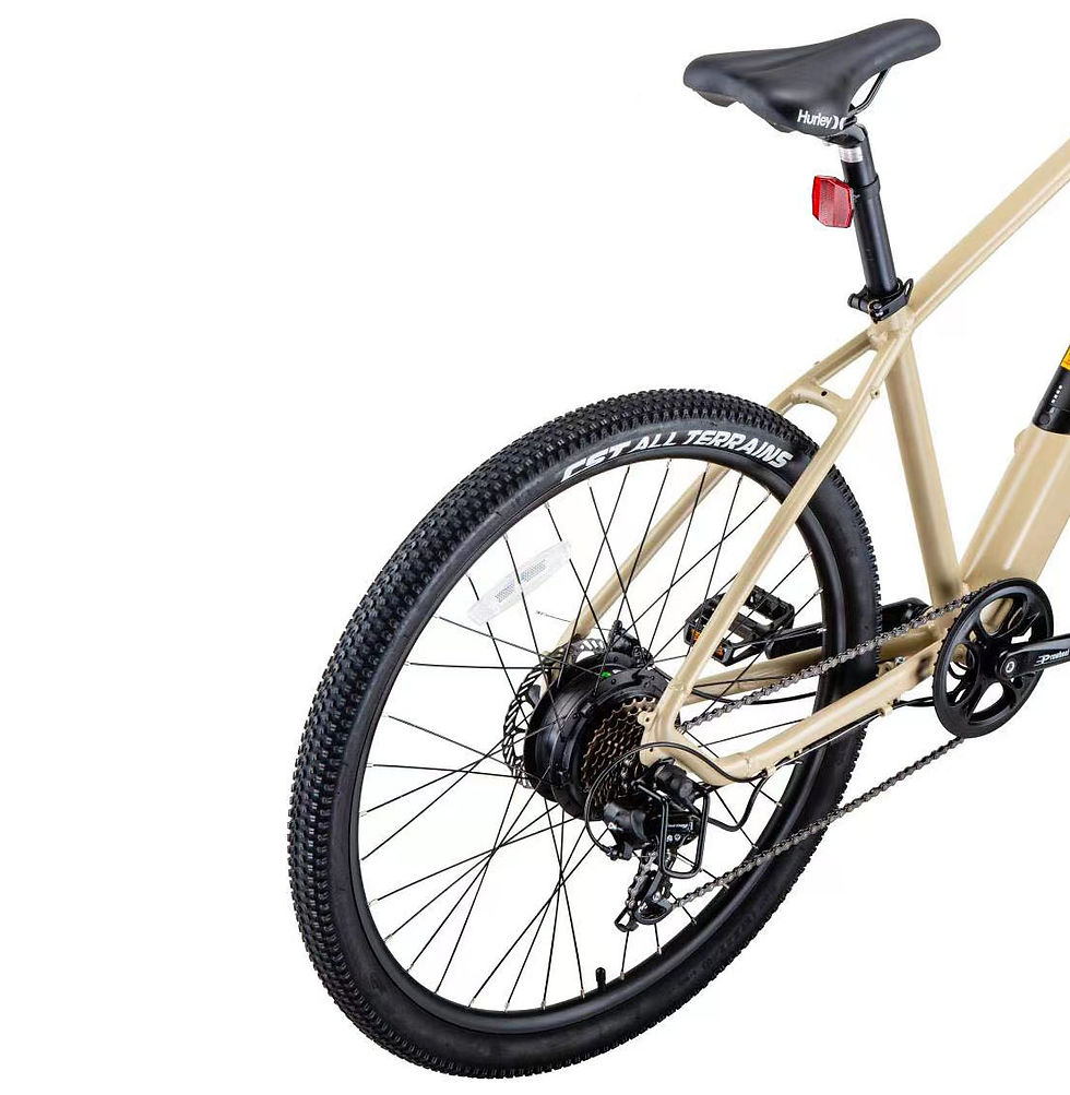 Thumbnail: SOLEBIKE URBAN2205