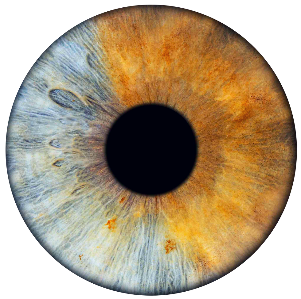 Hero Eye 3.png