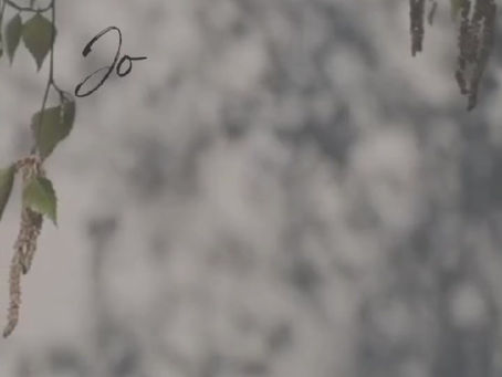 Jouw verhaal doet ertoe