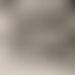 What the Cheese Cost.