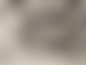 What the Cheese Cost.