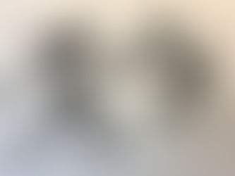 Slaying Beasts: The Quiet Battle Between Who You Are and Who You Could Be.