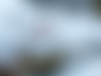 Macrofotografie in de winter, Tips&Tricks