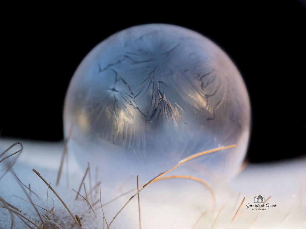 Zeepbellen fotografie 