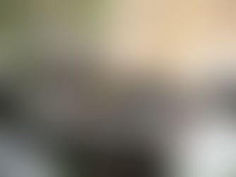 Vogelfotografie in de winter - Tips,Tricks & haarscherpe beelden