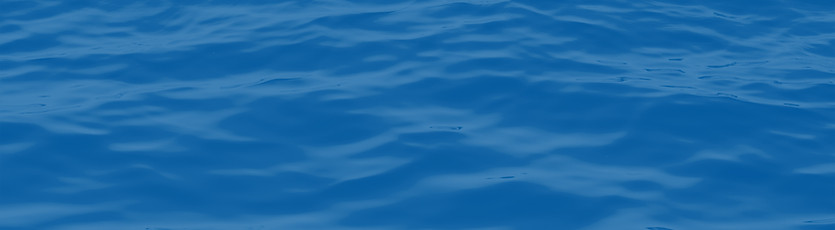 Clippers Web Banner BG.jpg