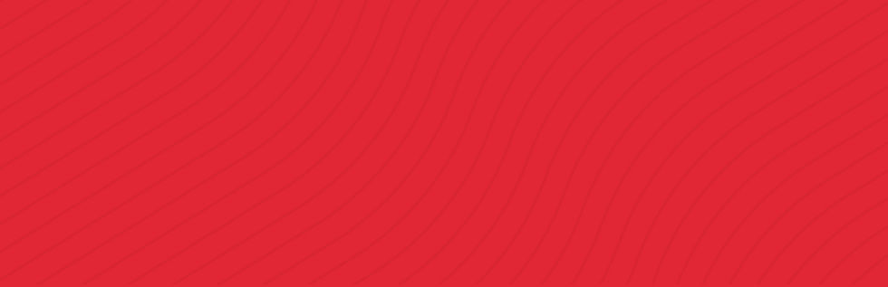 Background_Produtos_LionConsulting.jpg