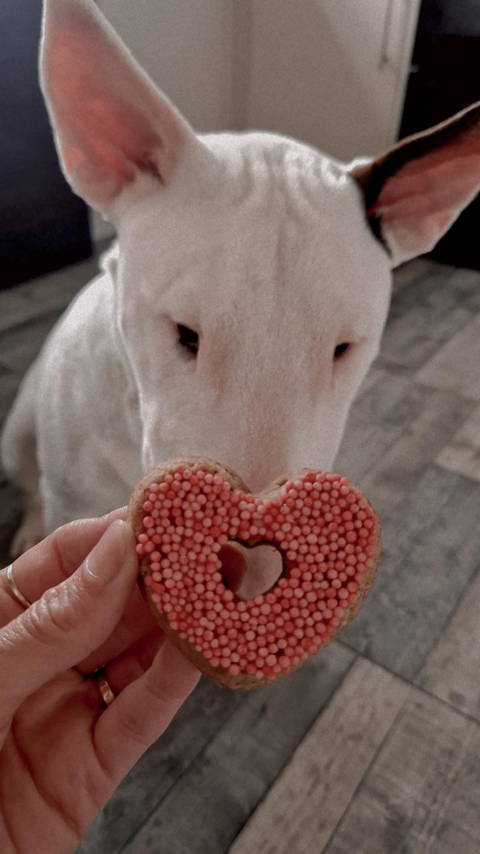 Thumbnail: Love Is In The Air