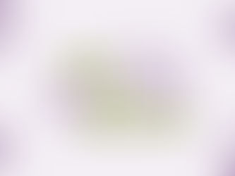 Promotional banner with the text Art in Bloom