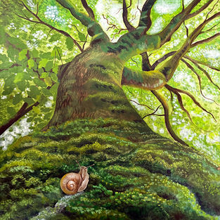 Somas Journey, a hand painted picture book about a little snail