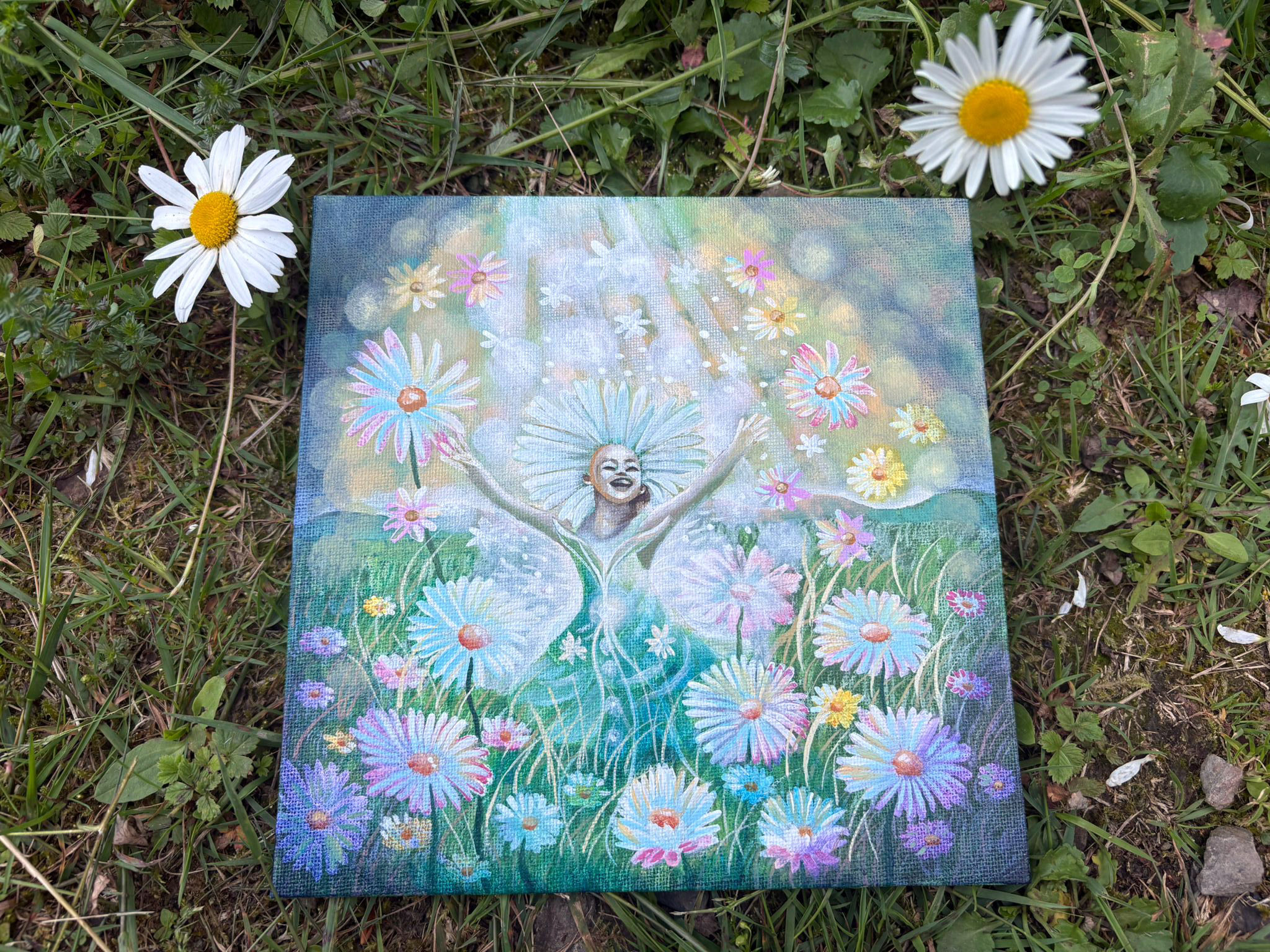 Joyful Daisy