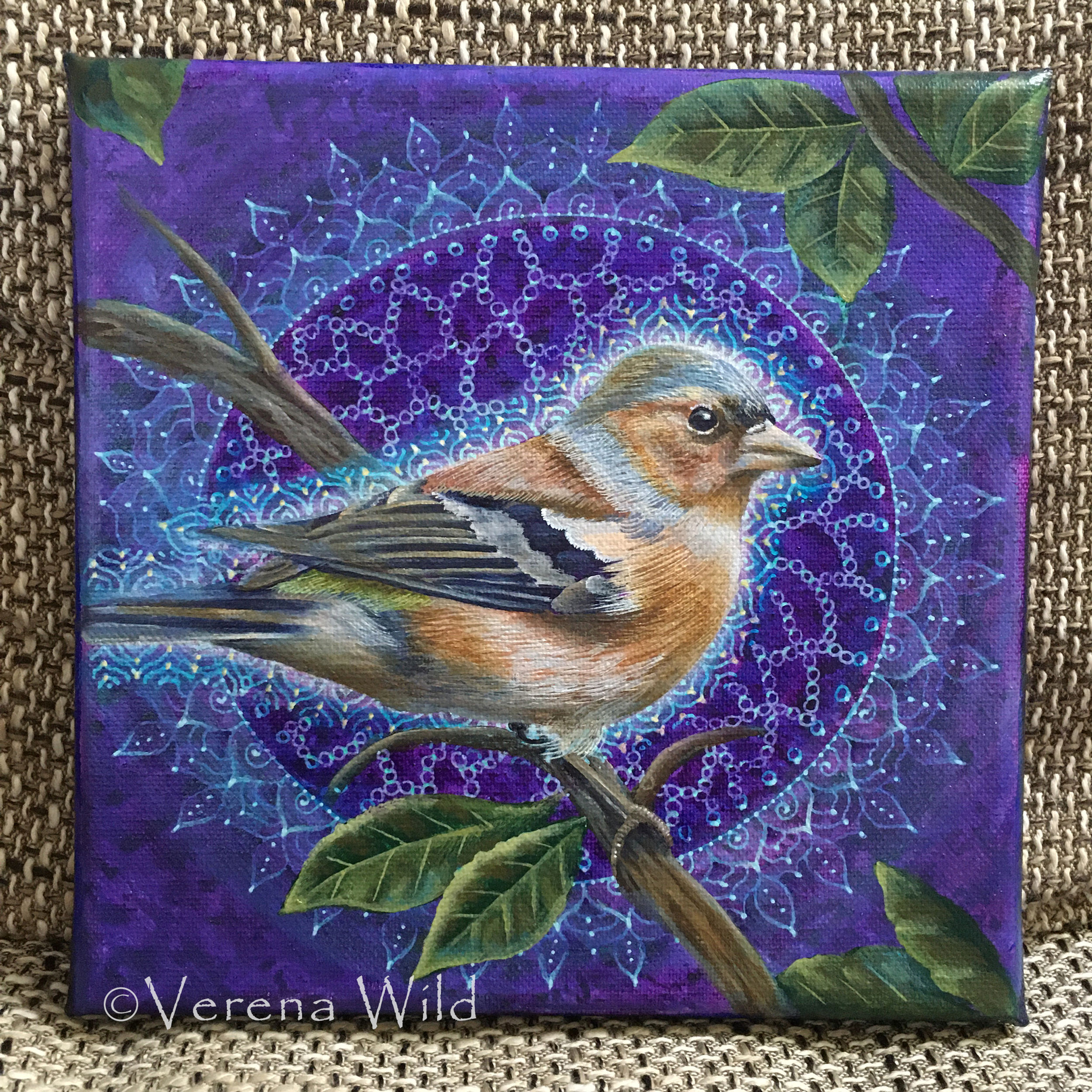 Chaffinch