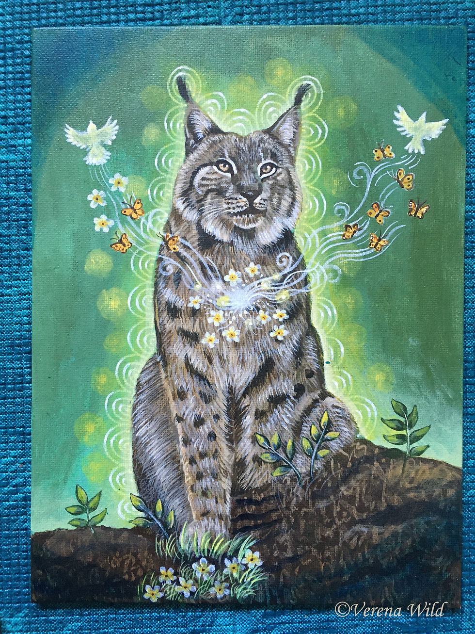 Miniaturbild: Der Luchs