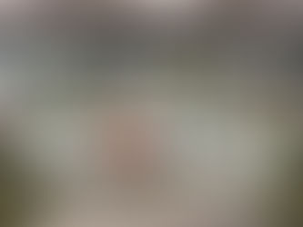 Event Rentals 101: What You Need for Your Next Celebration