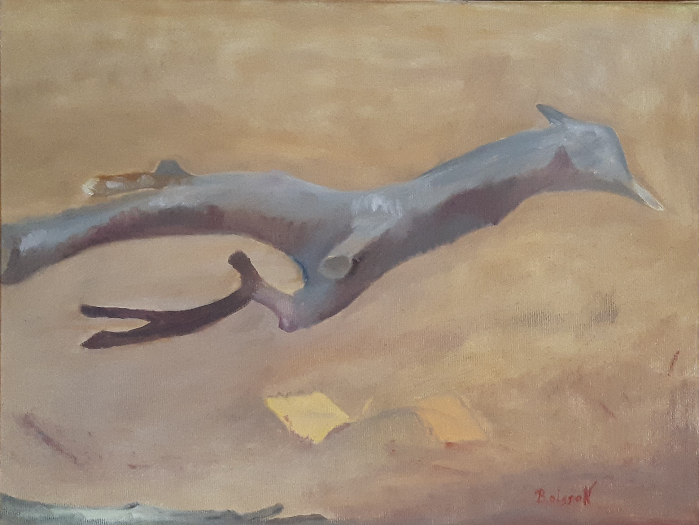 Skadeskjuten 46x32 cm