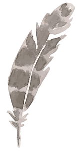 Feather 4