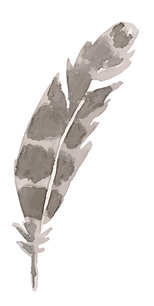 Feather 4