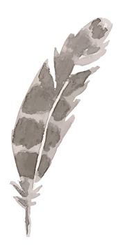 フェザー4