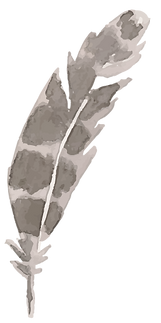 Feather 4