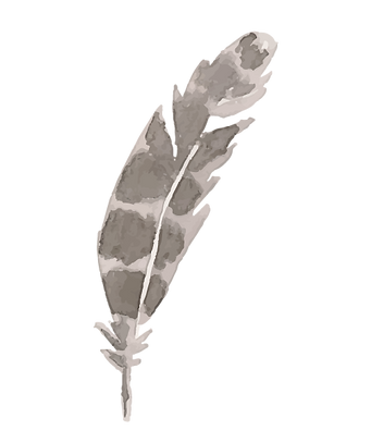 Feather 4