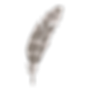 Feather 4