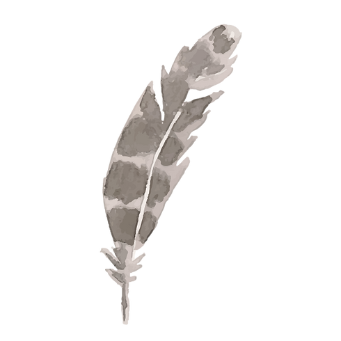 plume 4