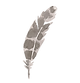 Feather icon