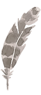 plume 4
