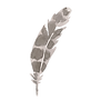 plume 4