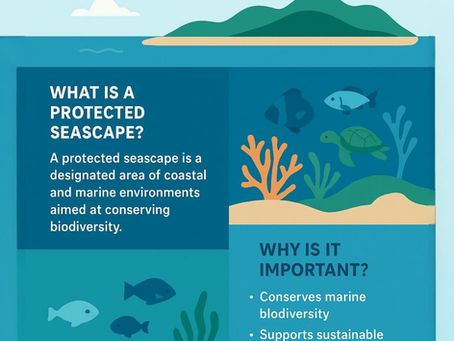 Panaon Island, Southern Leyte is officially declared as Protected Seascape in the Philippines!