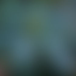 001. The weird place inbetween, by Faye