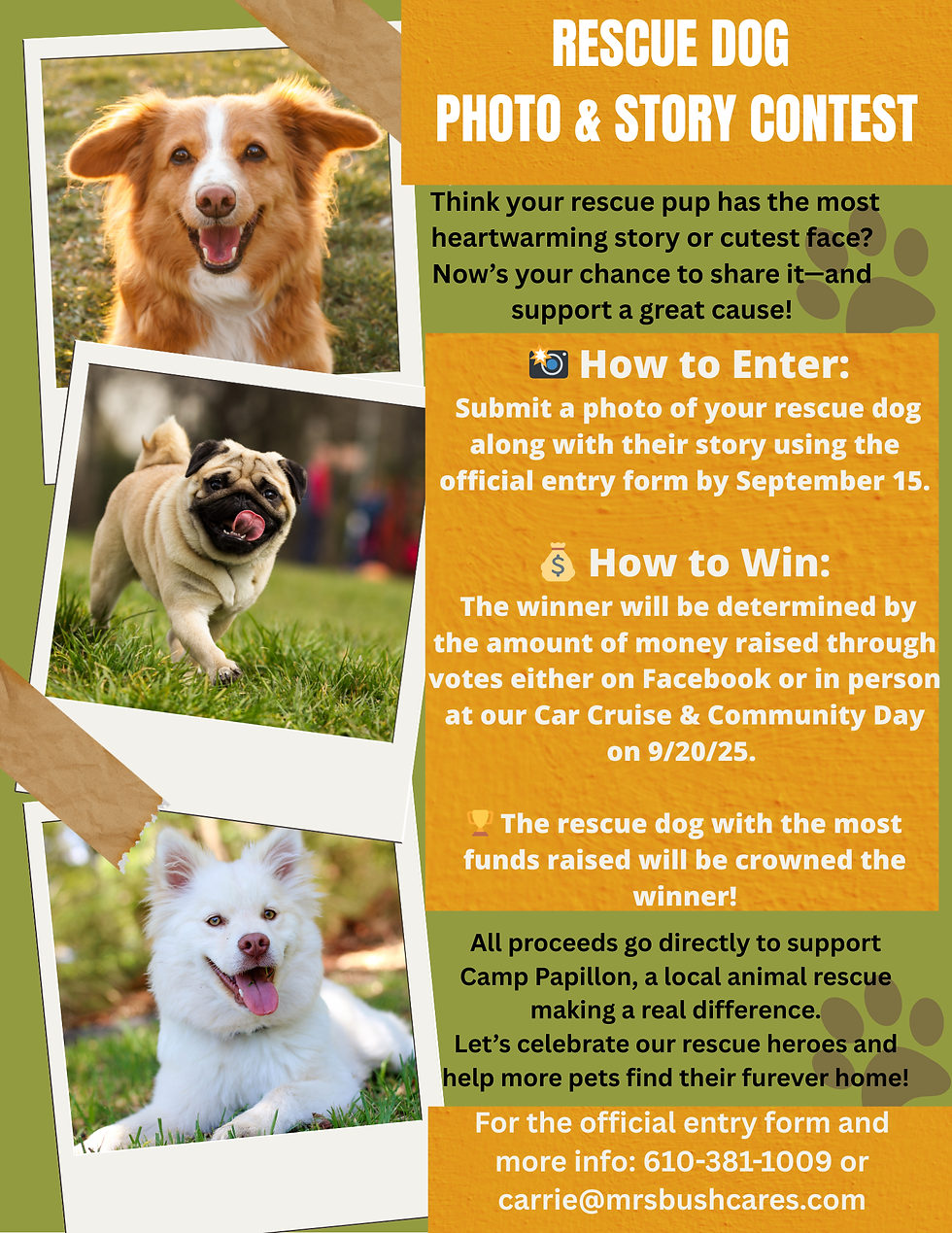 Rescue Dog Photo & Story Contest