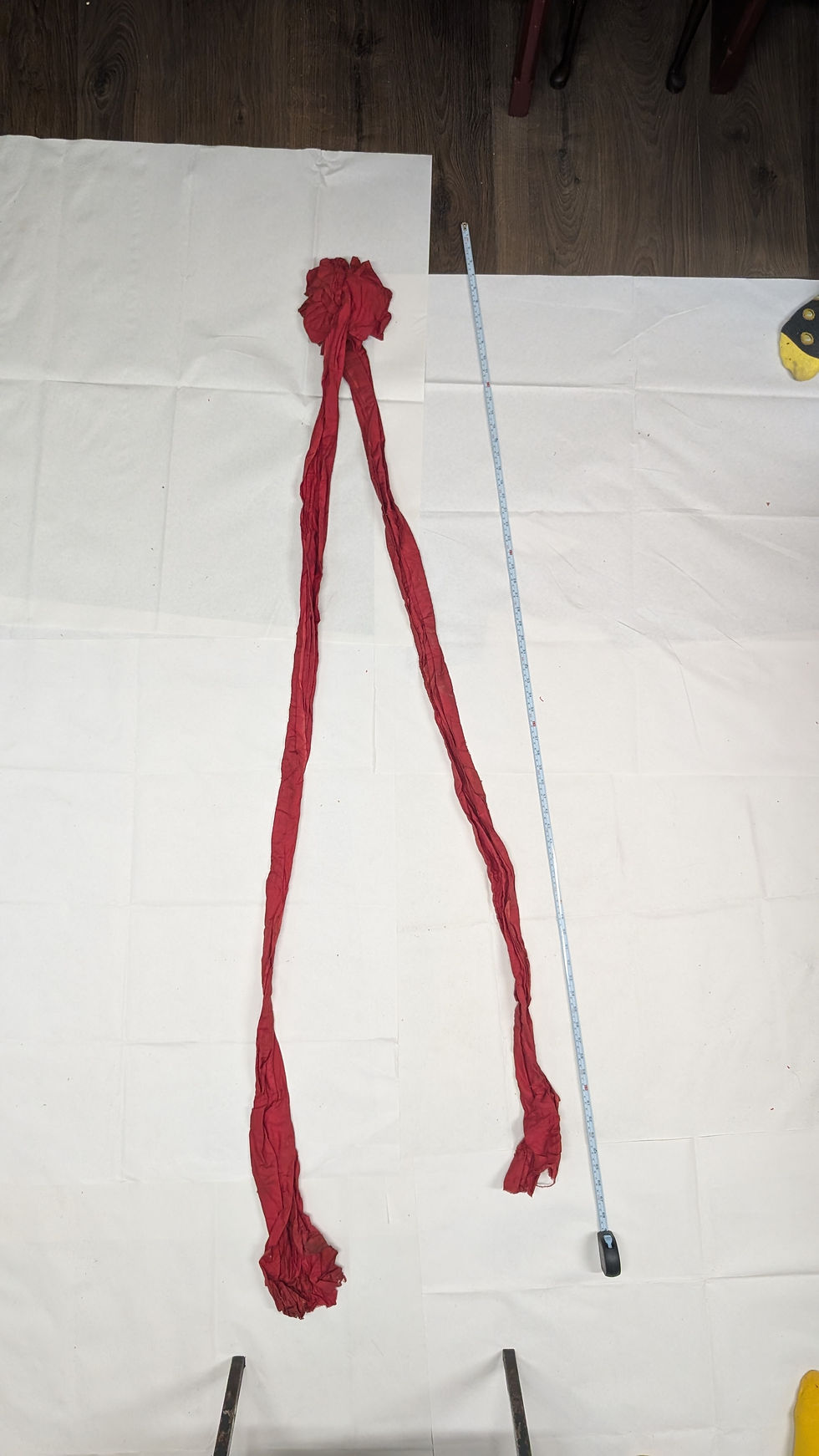 PXL_20260324_163319833.jpg