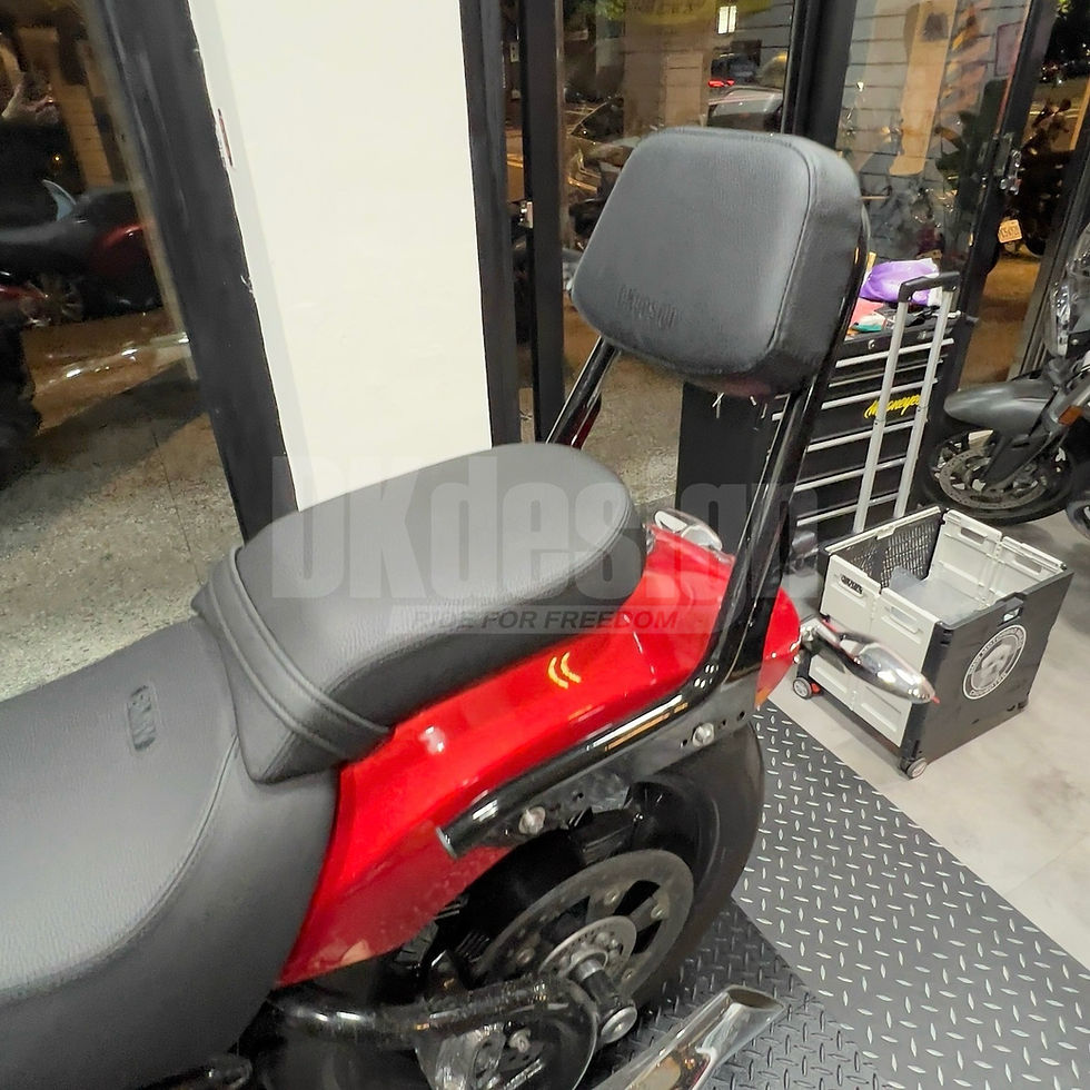 Thumbnail: DKdesign - BMW R18 Stainless Comfort Back Rest