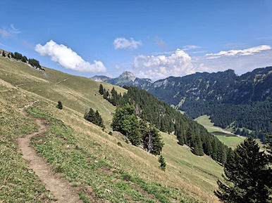 naturzeit 4.jpg