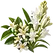 Illustration des notes de cœur fleur d’oranger, tubéreuse de la fragrance Monoï
