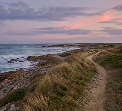 Le souffle iodé d'une plage sauvage du Morbihan, à l'heure où le ciel rosit. — inspiration de la destination Sarzeau