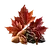 Illustration des notes de tête feuilles d’érable, sirop de sucre de canne, amande amère de la fragrance Sirop d’Érable