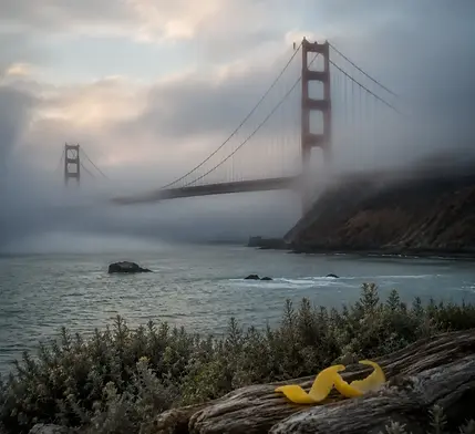 Le brouillard sur la baie — citron frais, épices aromatiques, bois flotté. — inspiration de la destination San Francisco