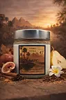 Bougie artisanale Luxor Ambre et Tonka Candles Adventure