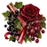 Illustration des notes de tête cassis, rhubarbe, raisin, rose de la fragrance Fruits Rouges