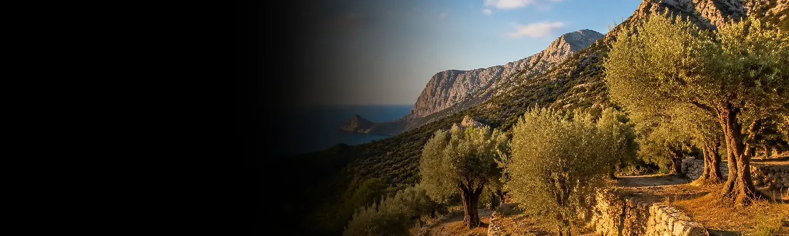 Mallorca, inspiration de la destination olfactive Bois d’Olivier par Candles Adventure