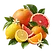 Illustration des notes de tête citron, pamplemousse, orange de la fragrance Midnight Angel