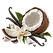 Illustration des notes de cœur noix de coco, vanille de la fragrance Barbe à Papa