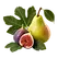 Illustration des notes de tête figuier, poire de la fragrance Ambre & Tonka