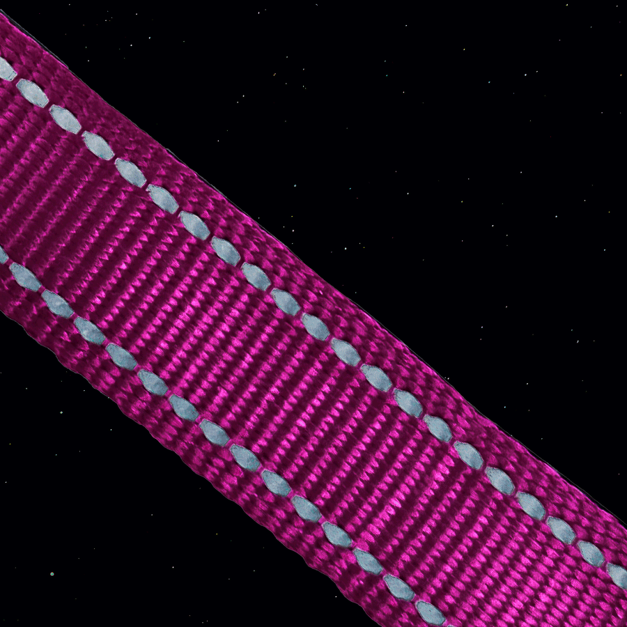 Thumbnail: Huskimo Trekpro Collar Aurora