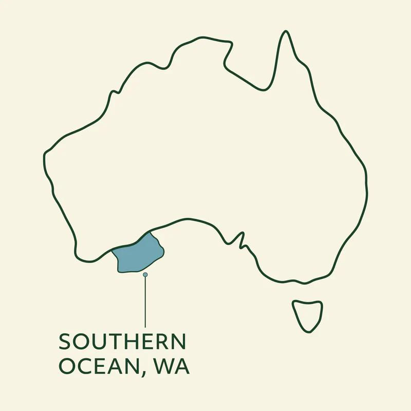 Thumbnail: Wildkind Southern Ocean Pilchards