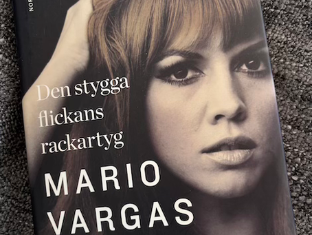 The Bad Girl (Travesuras de la niña mala) by Mario Vargas Llosa